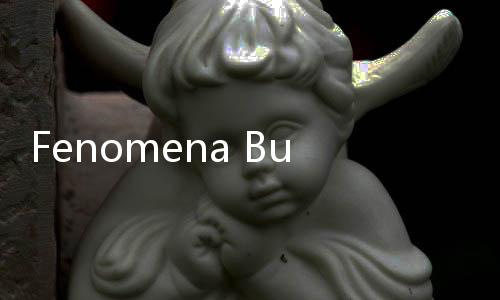 Fenomena Bunuh Diri Mahasiswa, Kampus Perlu Optimalkan Peran PA